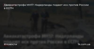 Стеф Блок - Авиакатастрофа МН17: Нидерланды подают иск против России в ЕСПЧ - 1k.com.ua - Россия - Голландия