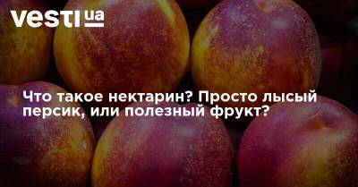 Что такое нектарин? Просто лысый персик, или полезный фрукт? - vesti.ua - Китай