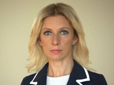 Мария Захарова - Стеф Блок - Россия не получала официальных сообщений об иске Нидерландов в ЕСПЧ по MH17 - rosbalt.ru - Россия - Украина - Голландия