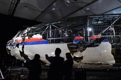 Антон Морозов - В России прокомментировали обвинения Нидерландов по сбитому Boeing - lenta.ru - Россия - Украина - Голландия