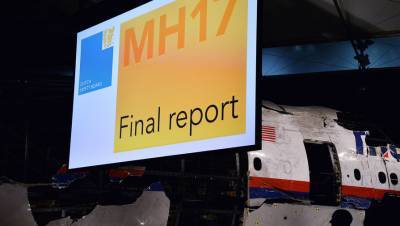Нидерланды планируют представить в ЕСПЧ новую информацию по делу MH-17 - gazeta.ru - Россия - Украина - Голландия - Куала-Лумпур - Амстердам