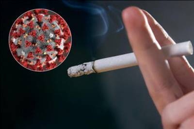 В ВОЗ заявили о повышенной опасности COVID-19 для курящих - vkcyprus.com