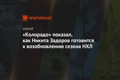 Никита Задоров - «Колорадо» показал, как Никита Задоров готовится к возобновлению сезона НХЛ - championat.com - Россия - Лос-Анджелес - шт. Колорадо - шт.Нью-Джерси - Сан-Хосе - Оттава