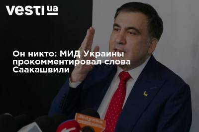 Михаил Саакашвили - Он никто: МИД Украины прокомментировал слова Саакашвили - vesti.ua - Украина - Грузия