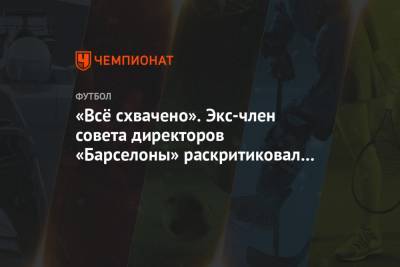 «Всё схвачено». Экс-член совета директоров «Барселоны» раскритиковал судейство «Реала» - championat.com - Испания - Мадрид