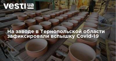 На заводе в Тернопольской области зафиксировали вспышку Covid-19 - vesti.ua - Украина - Тернопольская обл.
