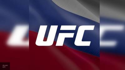 Генри Сехудо - Конор Макгрегор - Бойца UFC раскритиковали за нападение на пожилого мужчину в баре - newinform.com - США - Ирландия