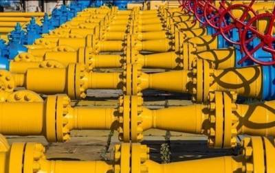 Сергей Макогон - Украина рекордно нарастила импорт газа из ЕС - korrespondent.net - Украина - Венгрия - Польша - Ес