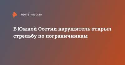 В Южной Осетии нарушитель открыл стрельбу по пограничникам - ren.tv - Грузия - респ. Южная Осетия