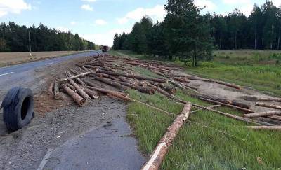 В Светлогорском районе у большегруза лопнуло колесо - gomel.today - район Светлогорский