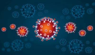 Кирилл Зыков - Профессор назвал легкий способ восстановления легких после коронавируса - actualnews.org - Россия