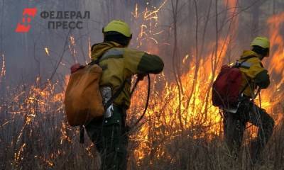В Советском районе Югры ввели режим ЧС из-за лесных пожаров - fedpress.ru - Югра - р-н Советский