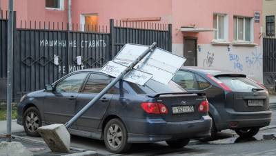 Двое петербуржцев получили травмы из-за сильнейшего ветра - dp.ru - Санкт-Петербург - р-н Приморский - р-н Выборгский