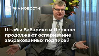 Виктор Бабарико - Валерий Цепкало - Штабы Бабарико и Цепкало продолжают оспаривание забракованных подписей - ria.ru - Белоруссия - Минск