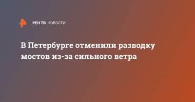 В Петербурге отменили разводку мостов из-за сильного ветра - ren.tv - Санкт-Петербург