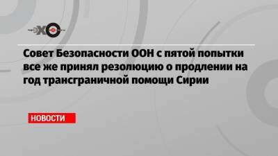 Кристоф Хойсген - Совет Безопасности ООН с пятой попытки все же принял резолюцию о продлении на год трансграничной помощи Сирии - echo.msk.ru - Россия - Китай - Сирия - Бельгия - Турция - Германия