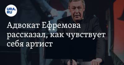 Михаил Ефремов - Эльман Пашаев - Адвокат Ефремова рассказал, как чувствует себя артист. «Поддержка ему не нужна» - ura.news