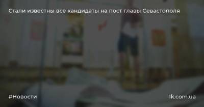 Михаил Развожаев - Иван Соловьев - Стали известны все кандидаты на пост главы Севастополя - 1k.com.ua - Россия - Севастополь