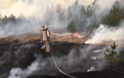 Пожары в Луганской области: тлеет древесина на отдельных участках, открытого огня нет - rbc.ua - Луганская обл.