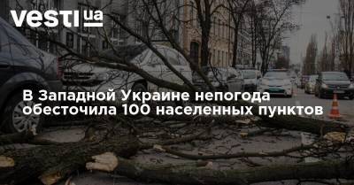 В Западной Украине непогода обесточила 100 населенных пунктов - vesti.ua - Украина - Львовская обл.