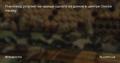 Пчеловод устроил на крыше одного из домов в центре Омска пасеку - 1k.com.ua - Лондон - Париж - Нью-Йорк - Омск