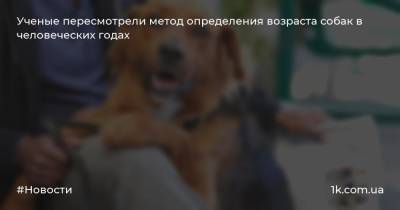 Ученые пересмотрели метод определения возраста собак в человеческих годах - 1k.com.ua - США - Украина