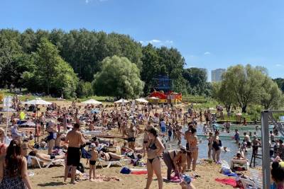 В пруду центрального парка Тулы образовался «суп из людей» - tula.mk.ru - Тула - Тульская обл.