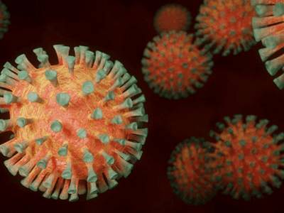 Немецкие ученые заявили, что переболевшие коронавирусом теряют антитела - live24.ru - Китай - Германия