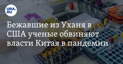 Стив Бэннон - Бежавшие из Уханя в США ученые обвиняют власти Китая в пандемии - ura.news - Россия - Китай - США - Гонконг - Ухань