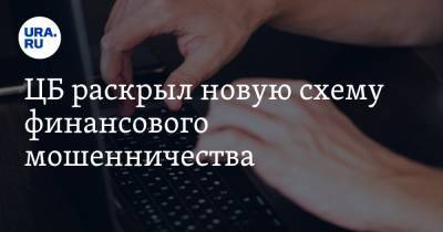 Валерий Лях - ЦБ раскрыл новую схему финансового мошенничества - ura.news