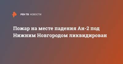 Пожар на месте падения Ан-2 под Нижним Новгородом ликвидирован - ren.tv - Нижегородская обл. - Нижний Новгород