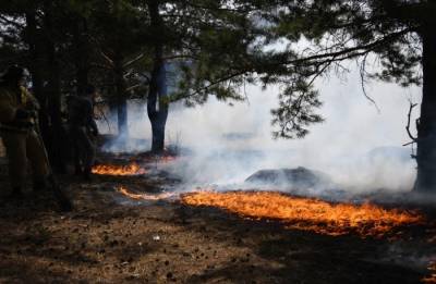 Более 25 тыс. га леса горит в Прибайкалье - interfax-russia.ru - Иркутская обл. - Ленск