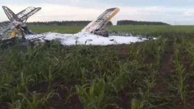 В Нижегородской области разбился Ан-2, один человек погиб - piter.tv - Россия - Санкт-Петербург - Нижегородская обл.