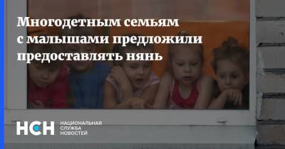 Иван Сухарев - Многодетным семьям с малышами предложили предоставлять нянь - nsn.fm - Россия