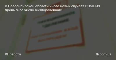 В Новосибирской области число новых случаев СOVID-19 превысило число выздоровевших - 1k.com.ua - Иркутская обл. - Украина - Новосибирская обл.