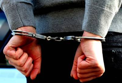 В Петербурге насильника помогли поймать камеры видеонаблюдения - online47.ru - Санкт-Петербург