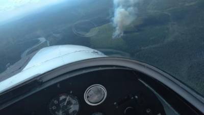 В Иркутской области ликвидировали 13 лесных пожаров за сутки - piter.tv - Иркутская обл. - Ленск