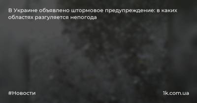В Украине объявлено штормовое предупреждение: в каких областях разгуляется непогода - 1k.com.ua - Украина - Луганская обл. - Харьковская обл. - Днепропетровская обл. - район Новоайдарский - Донецкая обл. - Гсчс