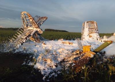 Ан-2 столкнулся с ЛЭП в Нижегородской области, один человек погиб - nakanune.ru - Нижегородская обл. - Рязанская обл.