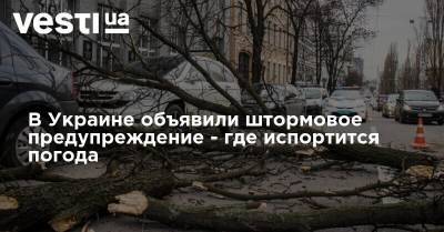 В Украине объявили штормовое предупреждение - где испортится погода - vesti.ua - Украина