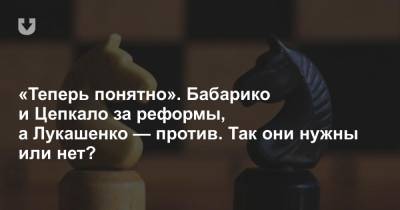 «Теперь понятно». Бабарико и Цепкало за реформы, а Лукашенко — против. Так они нужны или нет? - news.tut.by - Белоруссия