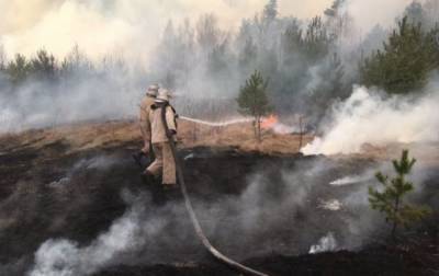В Луганской области уже неделю тушат лесной пожар - rbc.ua - Луганская обл. - район Новоайдарский