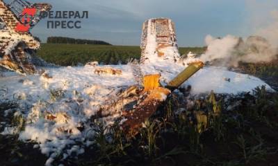 Пострадавшего при падении самолета в Нижегородской области госпитализируют в ожоговый центр - fedpress.ru - Нижегородская обл. - Нижний Новгород
