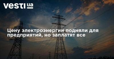 Цену электроэнергии подняли для предприятий, но заплатят все - vesti.ua - Украина