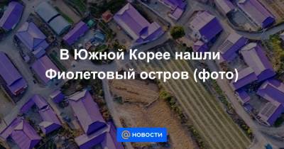 Анна Лысенко - В Южной Корее нашли Фиолетовый остров (фото) - news.mail.ru