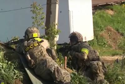 В Ростове-на-Дону задержаны боевики, планировавшие теракты в школах и больницах - mk.ru - Россия - Ростов-На-Дону - Ростовская обл.