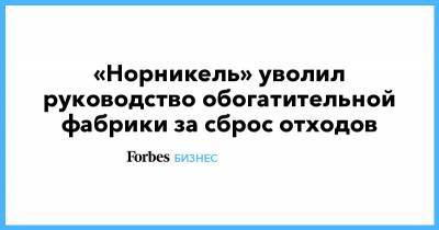 Сергей Дяченко - «Норникель» уволил руководство обогатительной фабрики за сброс отходов - forbes.ru - Арктика