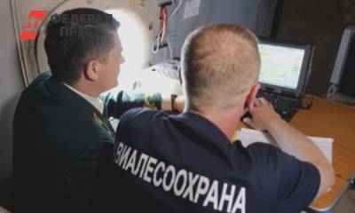 Ущерб от лесных пожаров в Югре может составить сотни миллионов рублей - fedpress.ru - Ханты-Мансийск - Югра