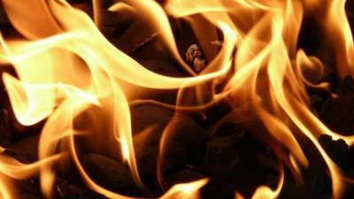 В Ростовской области 3-летний малыш сгорел заживо в машине - piter.tv - Ростовская обл.