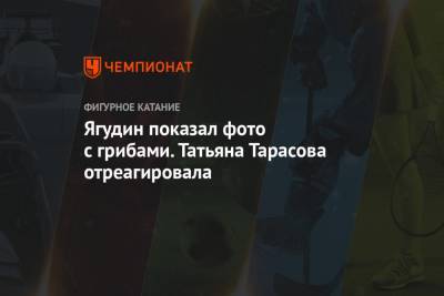 Татьяна Тарасова - Алексей Ягудин - Ягудин показал фото с грибами. Татьяна Тарасова отреагировала - championat.com